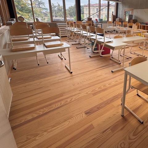 Parquet sans nœud pin maritime