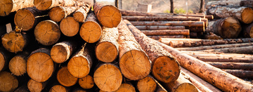 professionnel en sciage de bois Limoges