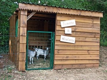 Cabane en bois brut