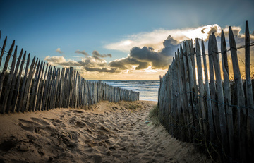 Scierie en Gironde