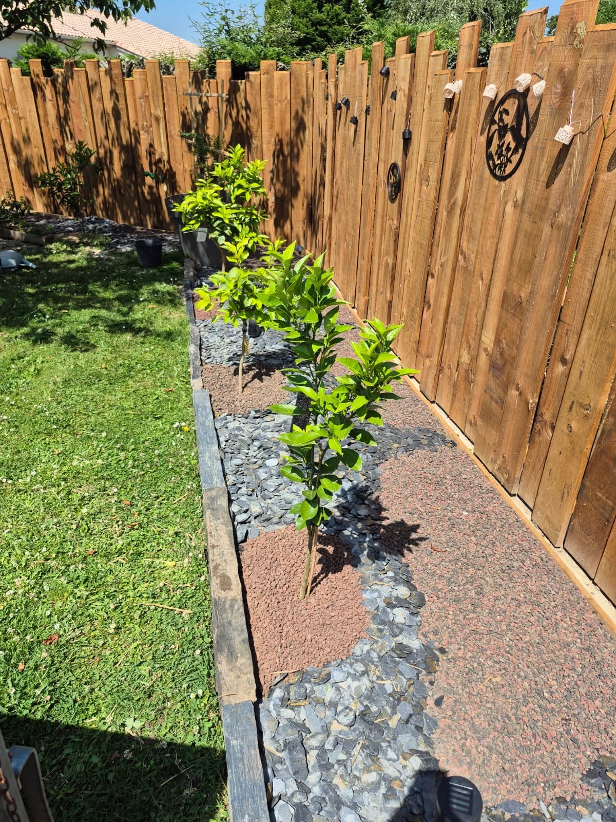 Planches brutes en pin maritime traitées pour l'extérieur