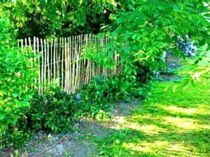 Ganivelle noisetier jardin