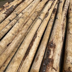 Poteaux châtaignier écorcés