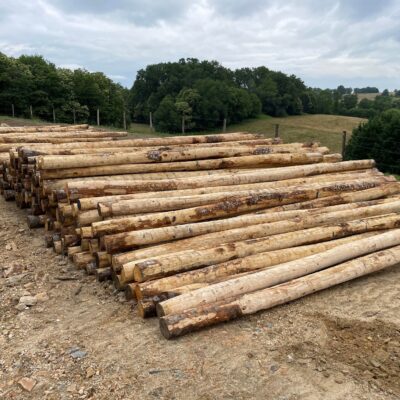 Poteaux châtaignier écorcés
