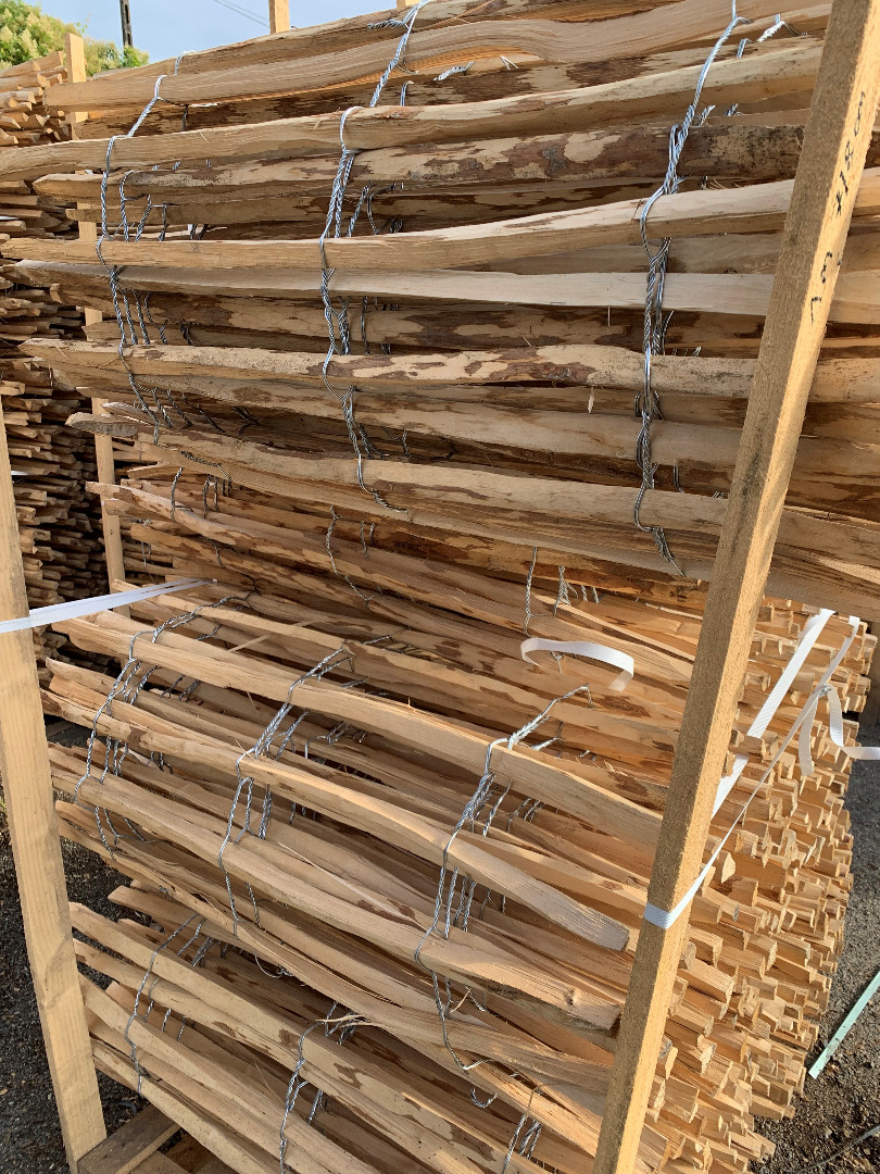 Profil ganivelle noisetier.jpg