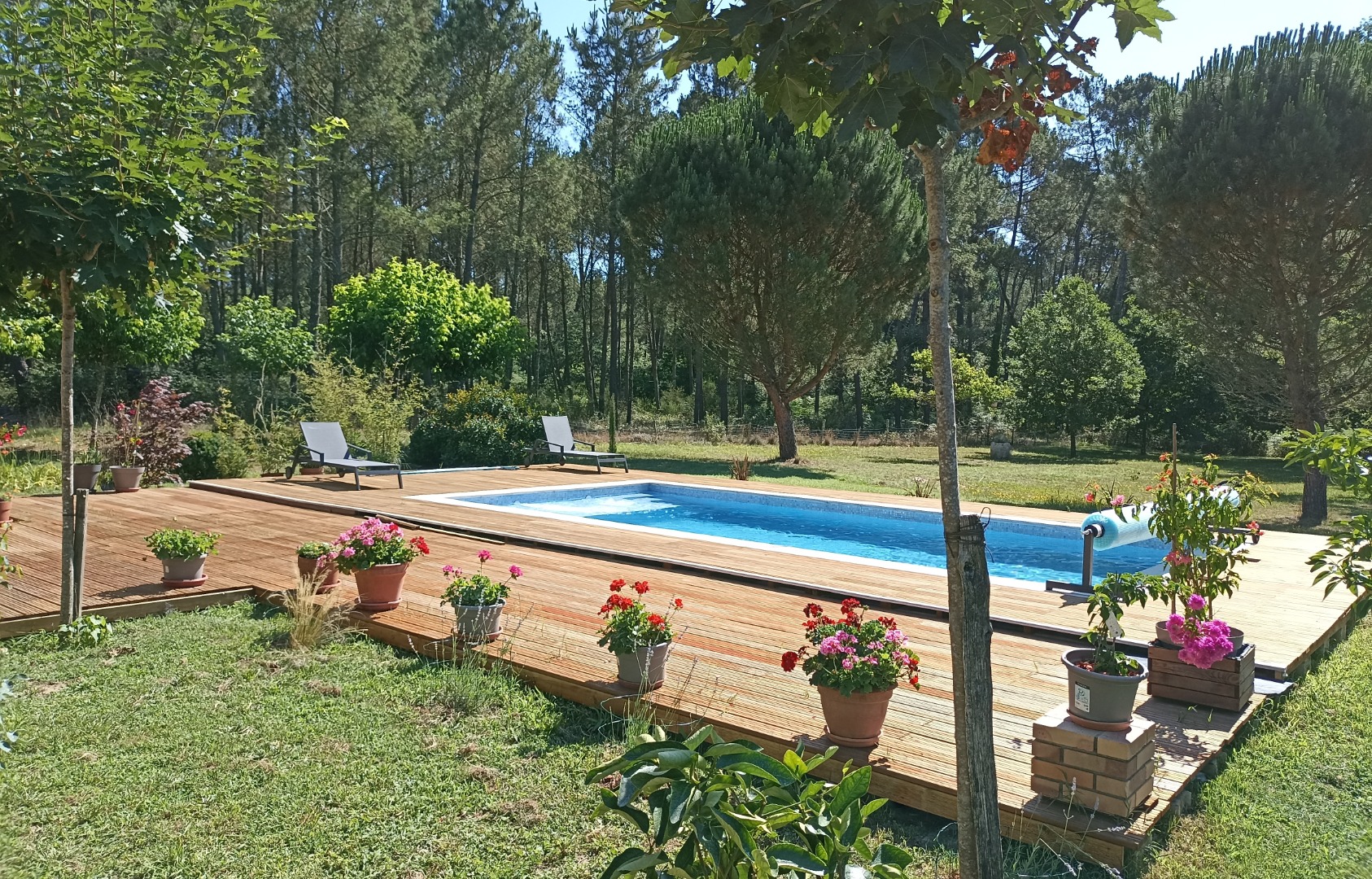 Lames de terrasse bazadaises sans nœud