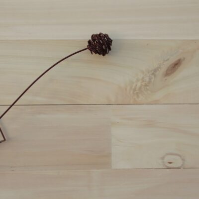 Parquet massif peuplier rustique