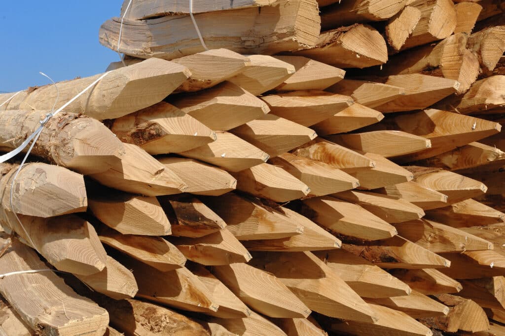 Poteaux bois empilés : piquets pour clôture ou jardin Grande pile de poteaux en bois clair, majoritairement pointus. Certains sont attachés par des sangles blanches sous un ciel bleu.